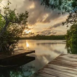 Lodge Yaxchen Eco Lodge&cenote